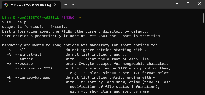 View help documentation for ls