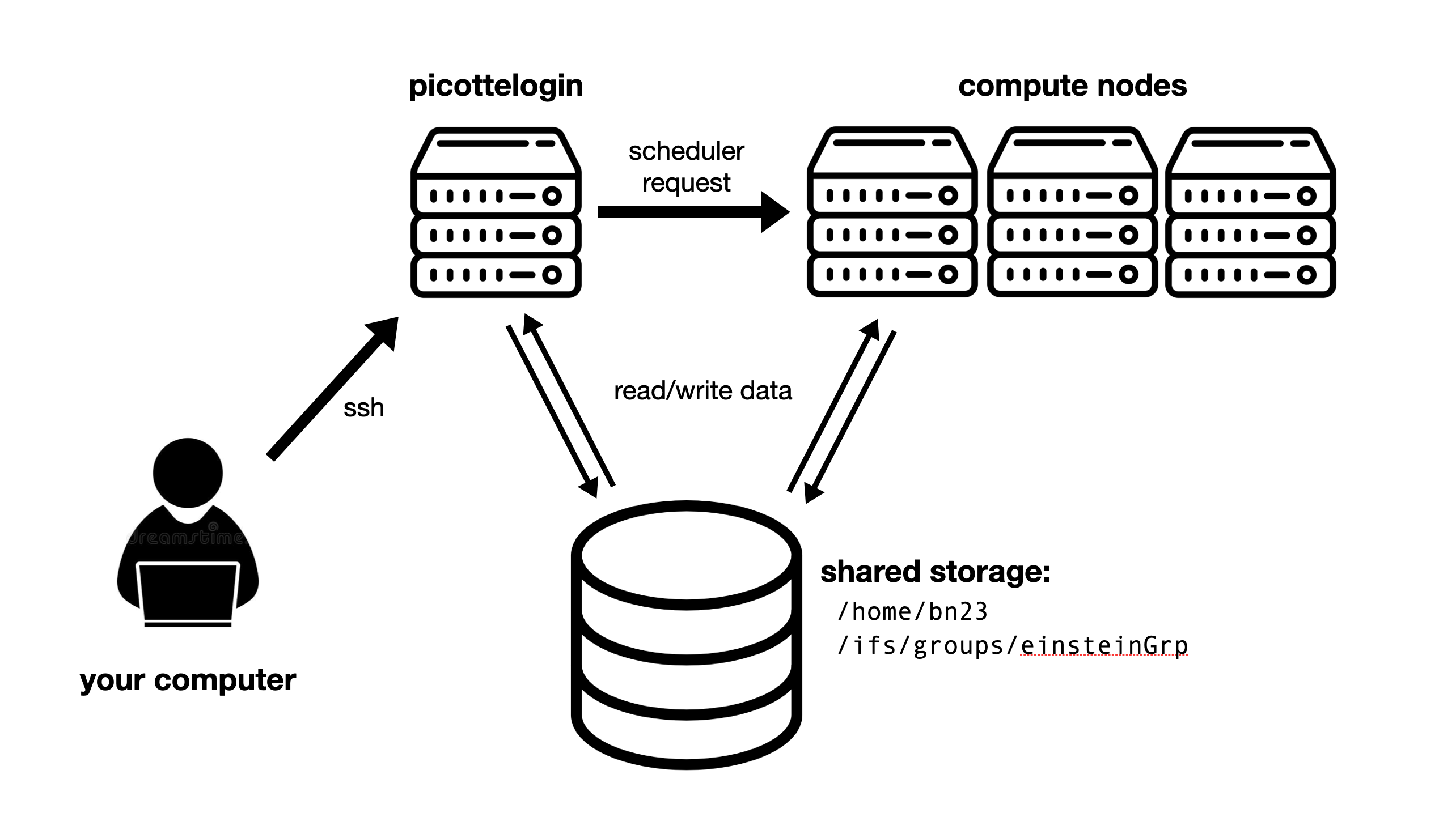 Diagram of Picotte with shared storage shown