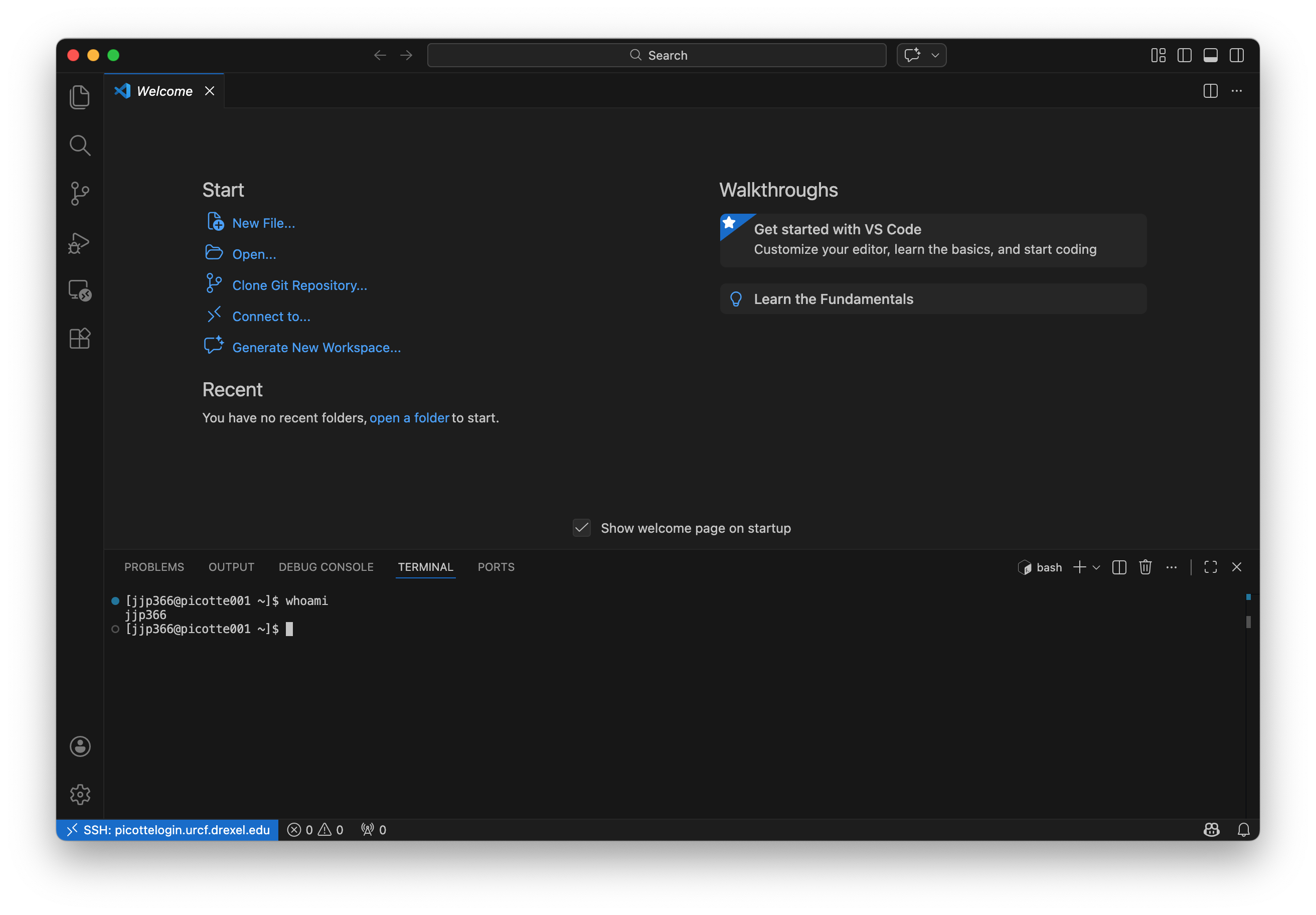 Running whoami in VSCode terminal